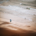 De 7 mooiste stranden van Portugal op een rij!
