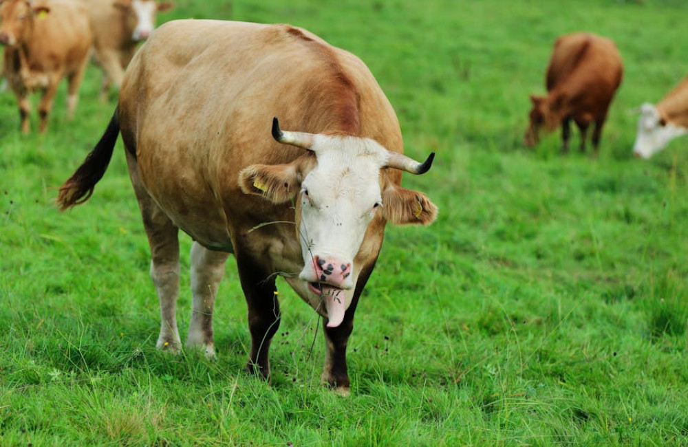 De relatie van Arno Kantelberg onder de loep