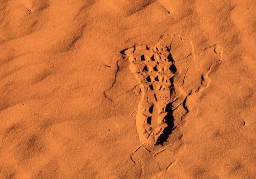 Wat is de impact van je digitale voetafdruk en hoe verminder je deze?