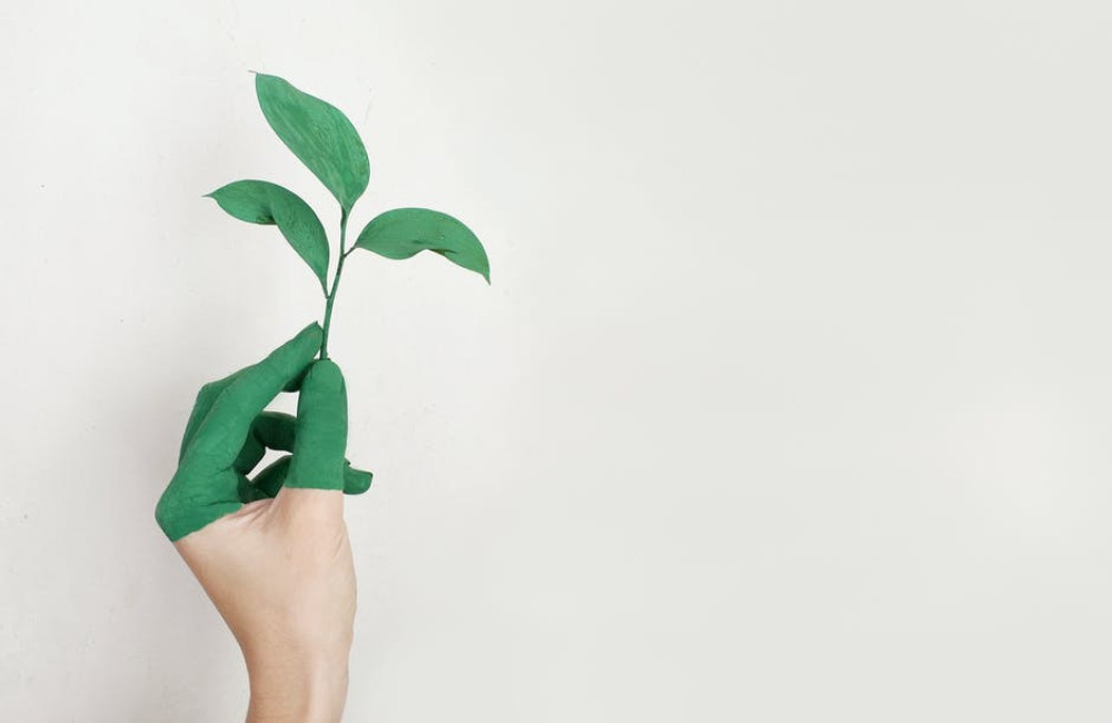 Zo werkt CO2-compensatie bij online aankopen