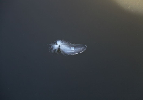 Ligt of licht gewicht