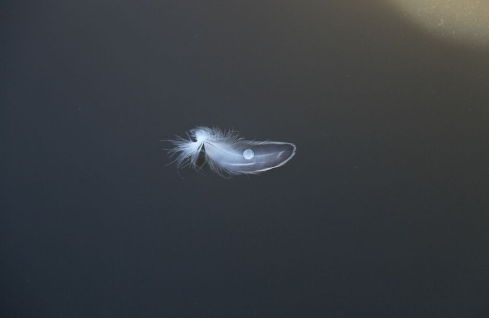 Ligt of licht gewicht