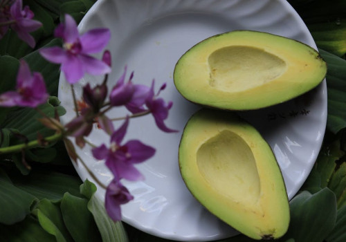 Hoe lang duurt het voordat een avocado boom vruchten geeft?